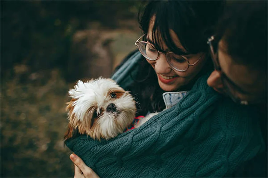 Come ridurre i peli di animali in casa: 9 trucchi infallibili